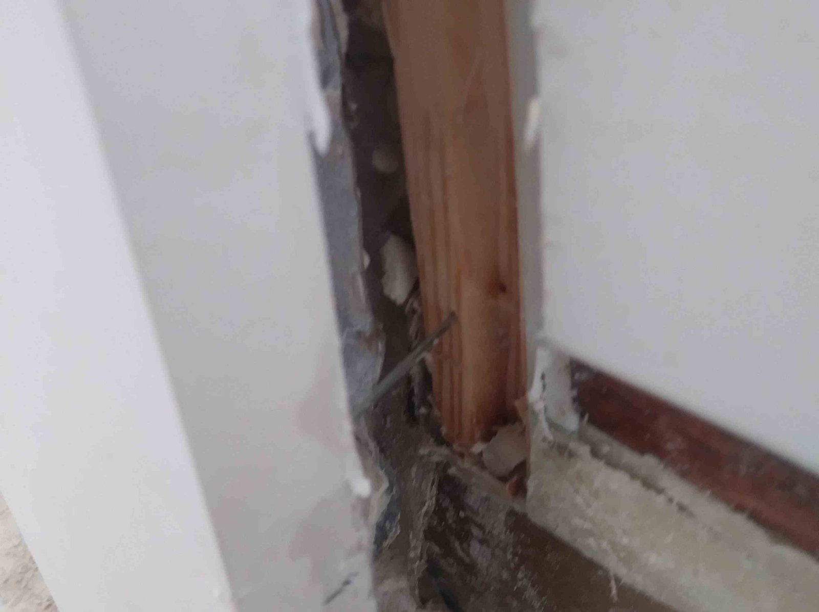 ELL Home Improvement & Remodeling